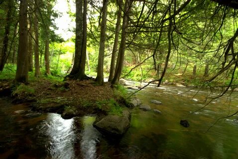 Natural area