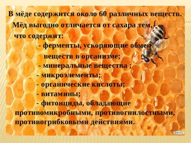 Какие вещества содержатся в меде. Что содержится в меде. Полезные витамины в меде. Откуда берется мед. Содержание витаминов в меде.
