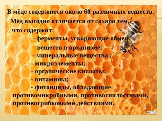 Какие вещества содержатся в меде. Что содержится в меде. полезные витамины в меде. откуда берется мед. содержание витаминов в меде.