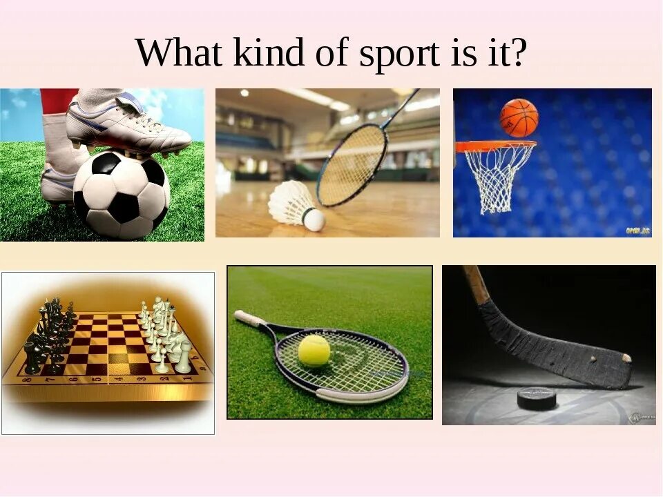 Various kinds of sports