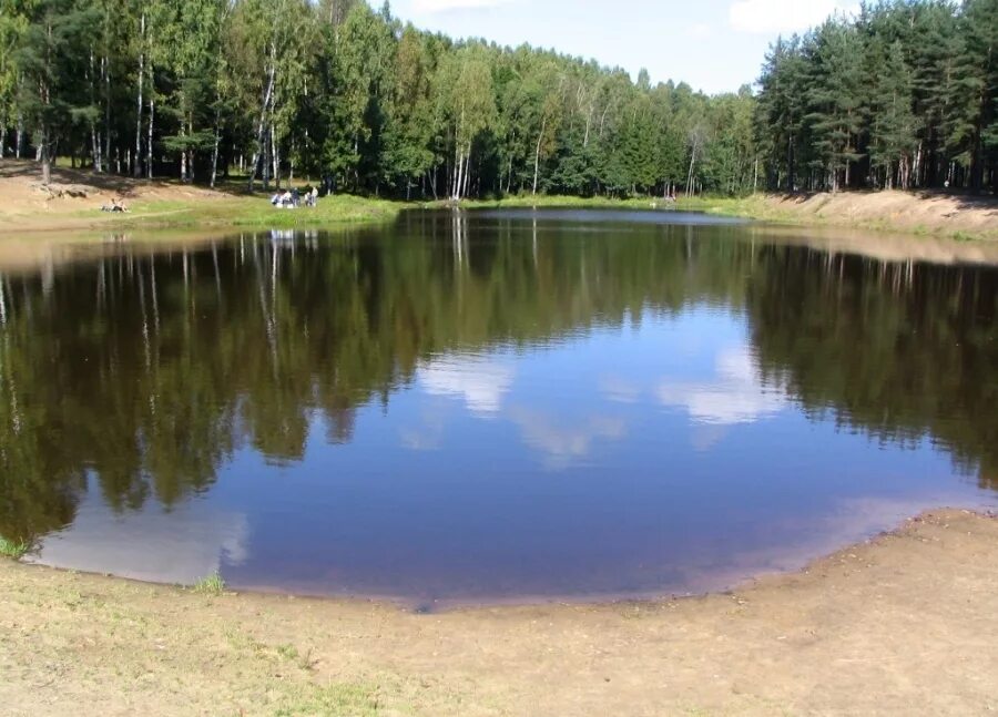 Водоем в собственность. Сертолово водоем. фермерское озеро парголово. фермерское озеро каменка. открытые водоемы.