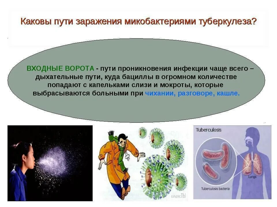 Где можно заразиться туберкулезом. Пути заражения туберкулезом. воздушно капельный путь передачи туберкулеза. туберкулёз пути заржения. пути передачи заражения туберкулезом.