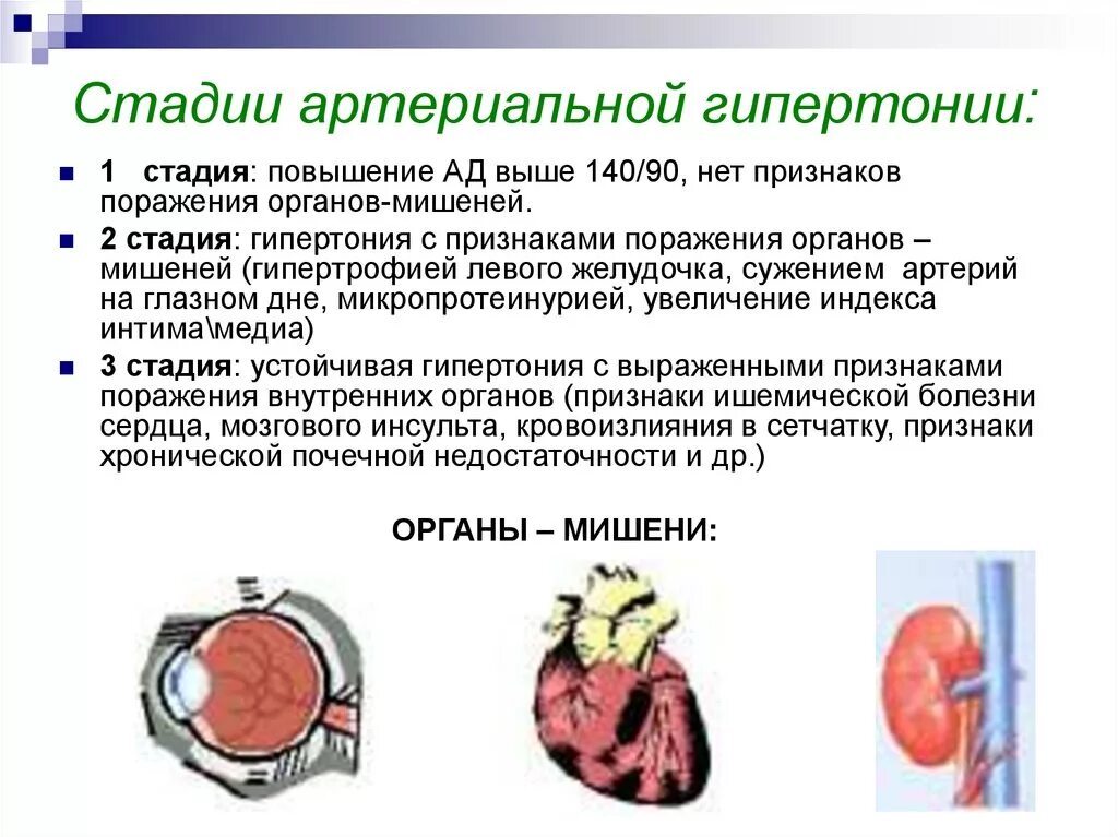 Гипертоническая болезнь 1 стадии артериальная гипертензия 2 степени. Гипертоническая болезнь II стадии проявляется. Гипертоническая болезнь 2 стадии поражение органов мишеней. Гипертоническая болезнь 1 стадии 3 степени. 3 группа гипертонической болезни