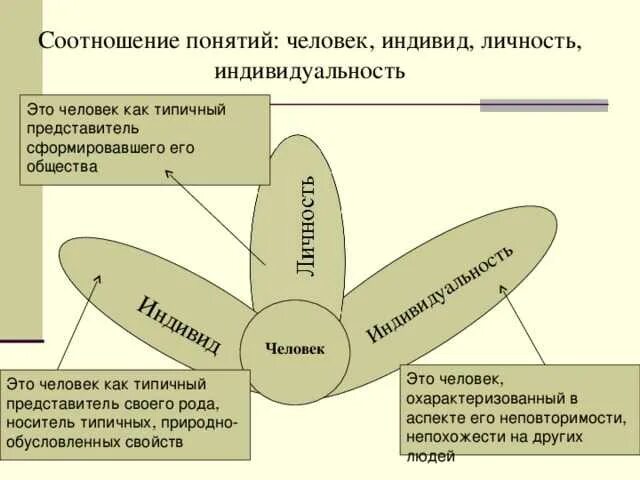 Соотношение понятий индивид личность индивидуальность. Отношение понятий: человек, индивид, индивидуальность, личность.. Схема личность индивид индивидуальность человек. Человек индивид личность взаимосвязь понятий.