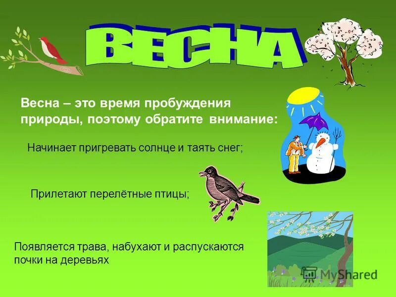 какие приметы пробуждения природы отмечает писатель