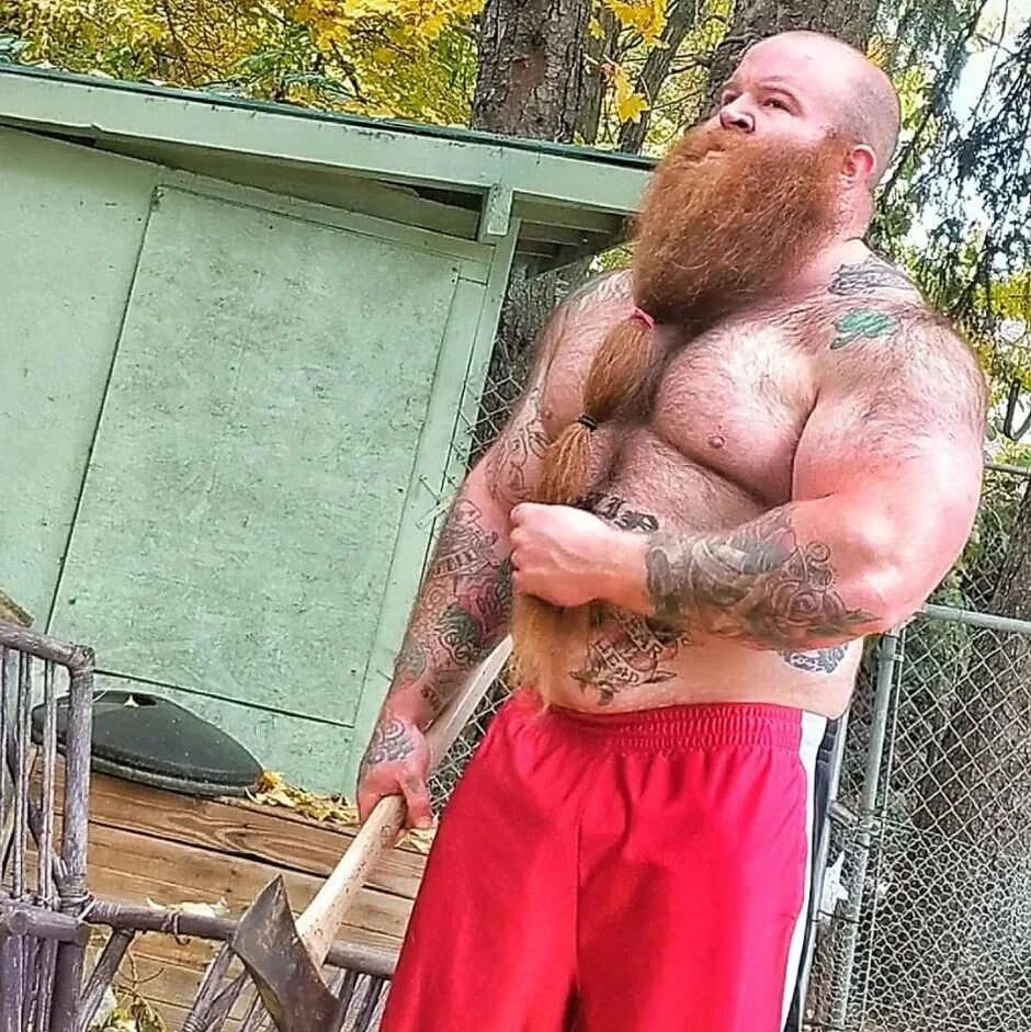 Рыжебородый лысый Викинг. Огромный бородатый мужик. Мужик с огромной бородой.