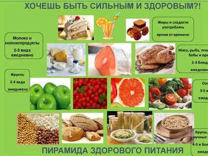 Продукты необходимые для жизни