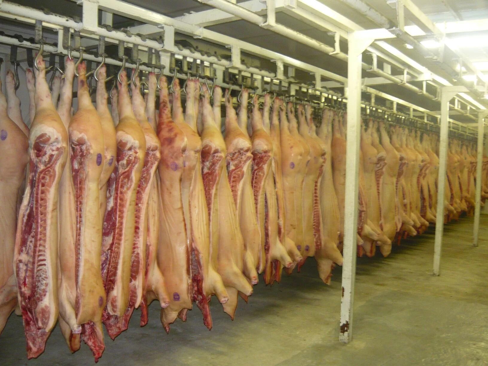 мясо крупного рогатого скота. склад мясной продукции. мясо говядина. мясо говядина. мясо говядина полутуши.