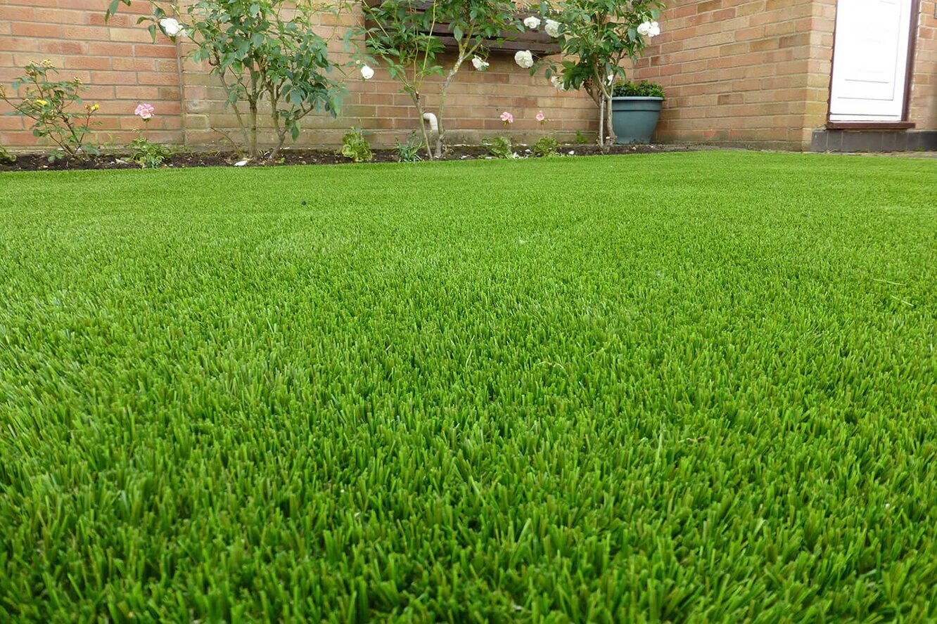 Газонокосилка механическая brill classic 30. Самшит живая изгородь. Трава подстрижена разгруженный. Ландшафтная трава натуральная. Тимофеевка луговая для газона.