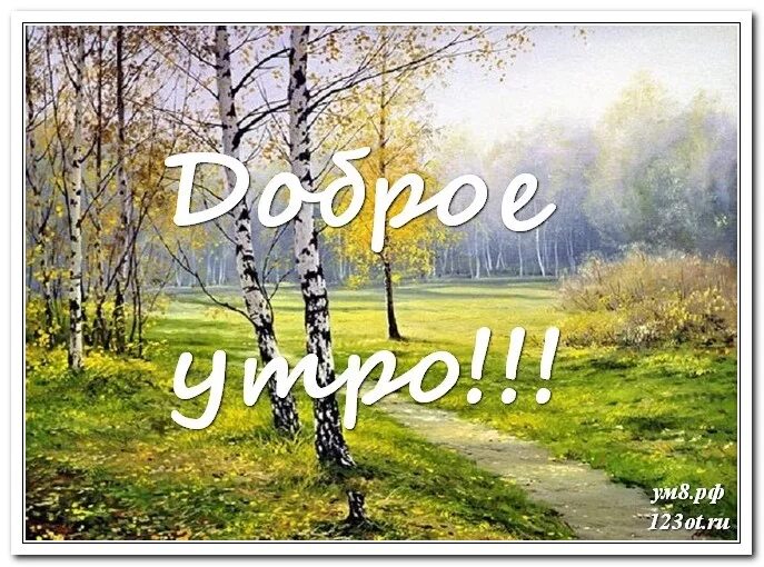 Доброго весеннего утра в деревне