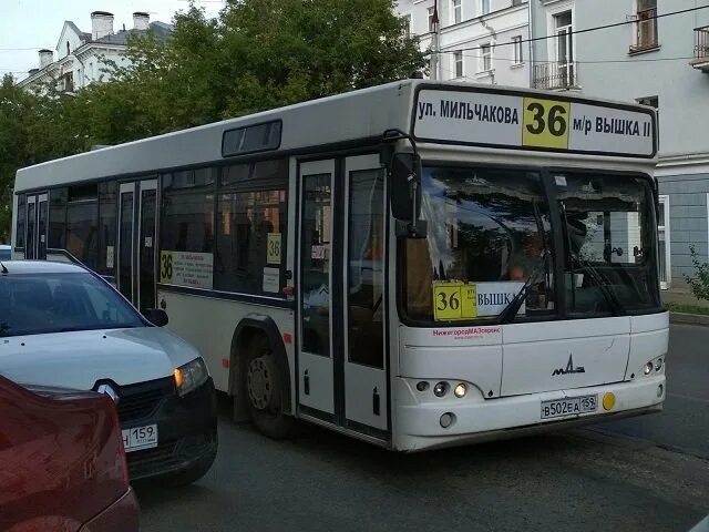 Автобуса 65 пермь на сегодня. Пермские автобусы. Автобус 36. На автобус 36 автобус. Пермь автобус Пермь.