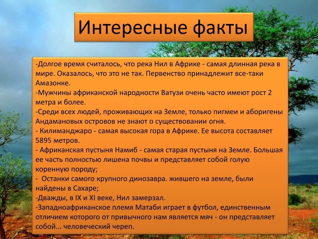 Факты о Африке. Интересный факты ИБ Африке. Что интересного в Африке. Интересное сообщение о Африке.