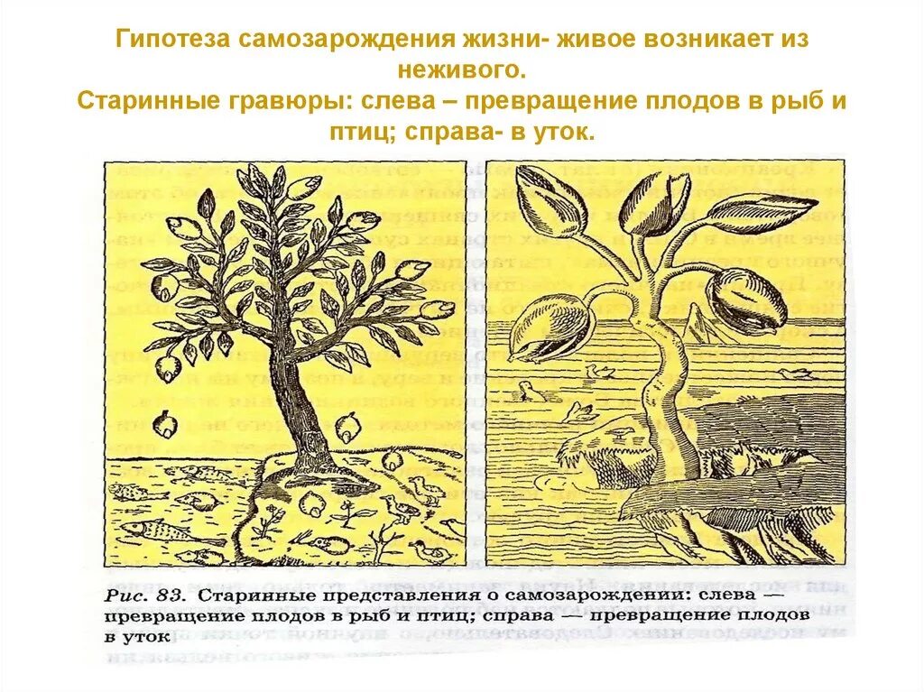 Превращение неживого в живое. Гипотезы происхождения жизни самозарождение. Гипотеза самозарождения жизни на земле. Теория самозарождения жизни Дарвин. Теория самопроизвольного зарождения.