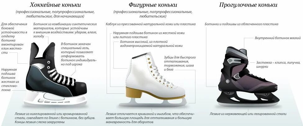 Чем отличается коньковый от конькового
