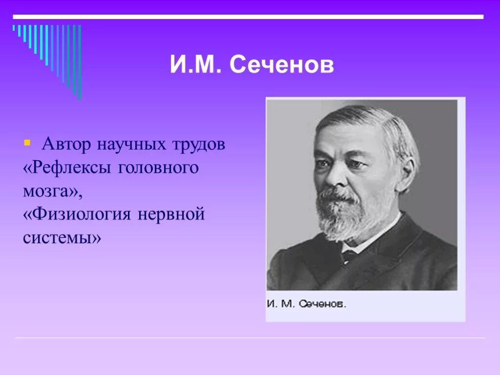 Сеченов иван михайлович достижения. Иван михайлович сеченов и его вклад в биологию. Сеченов иван михайлович вклад в физиологию. (1829-1905). И м сеченов наука.