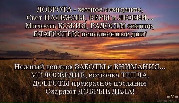 Созидать жизнь