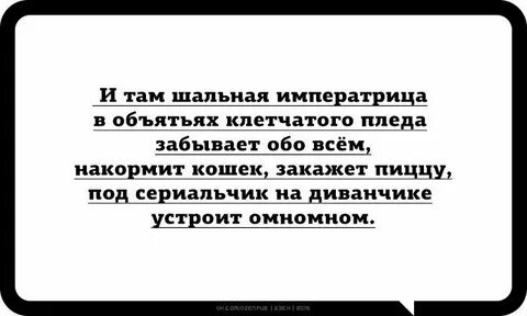 Минусовки шальной