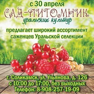 Газета березники