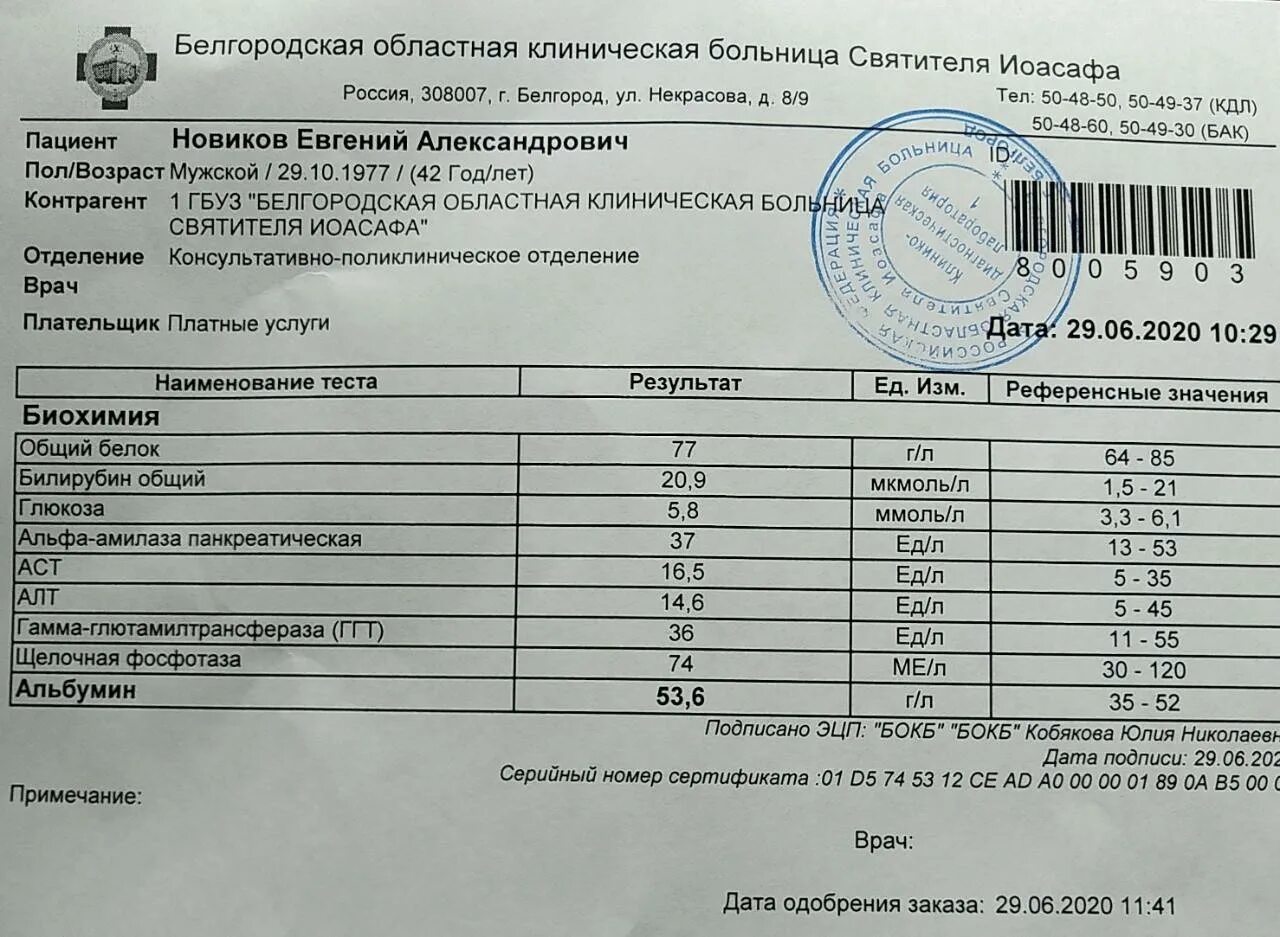 Белок референсные значения. Белок референсные значения
