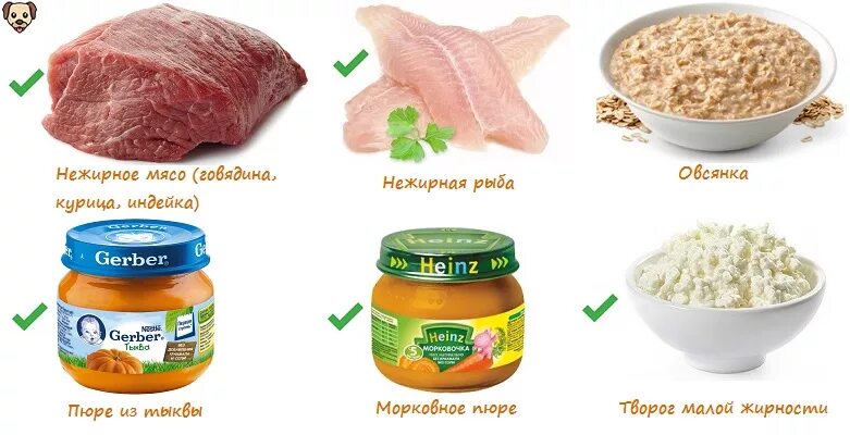 Можно ли собакам пюре