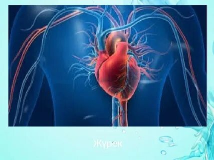 Аня Солевой Шатовамен порно