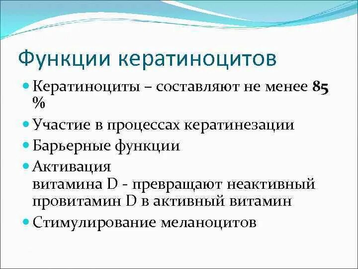 Кератиноцит функции. Функции кератиноцитов. кератиноциты функции. кератиноциты эпидермиса функции. функции клетки кератиноцитов.
