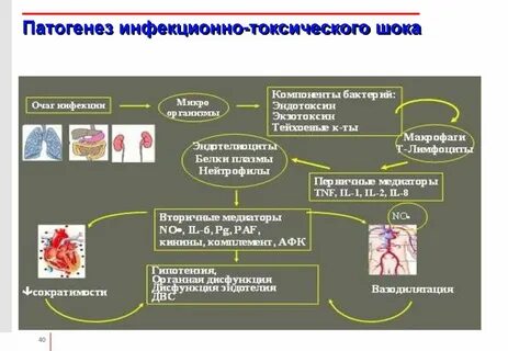 Инфекция этиология