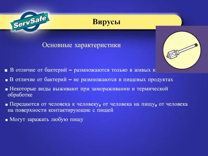 Могут ли вирусы размножаться в пищевых продуктах. Где могут размножаться вирусы. Вирусы могут размножаться в пищевых продуктах верно или нет. Где размножаются вирусы.