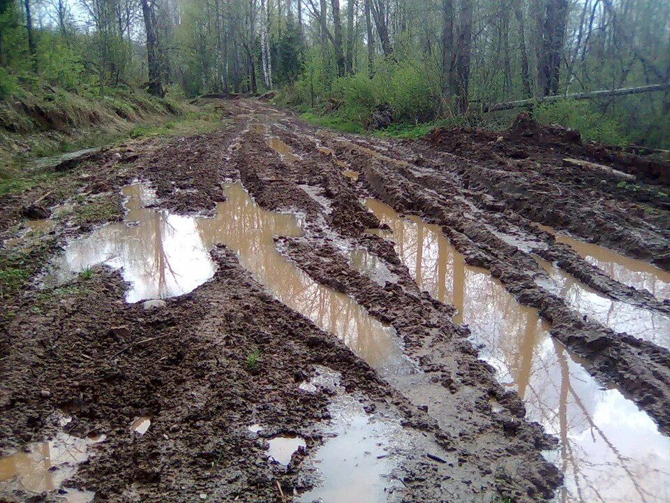 Бездорожье. Грязная дорога в лесу. Грязная Лесная дорога. Непроходимые дороги.