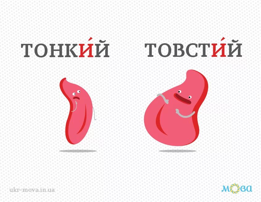 Противоположность слова тонкий. Випадок наголос. Слово тонкий. Слово тончайшее прикосновение к сердцу. Слово тончайшее прикосновение к сердцу текст.