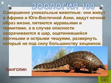 Совершенно уникальный