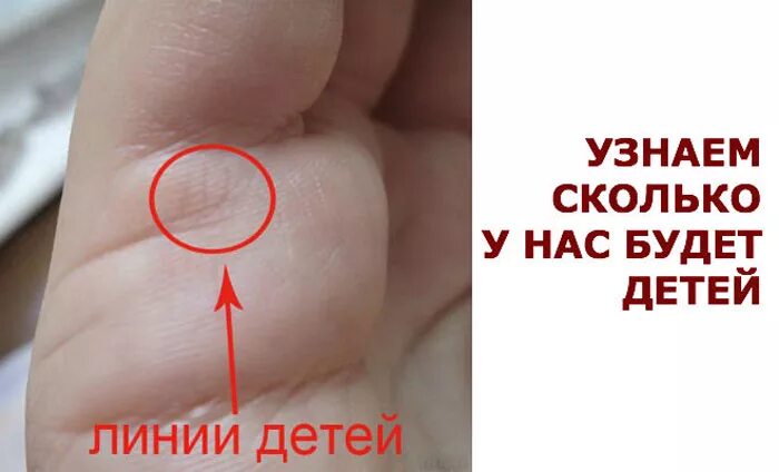 Сколько детей будет по фото