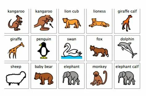 Kangaroo перевод на русский с транскрипцией