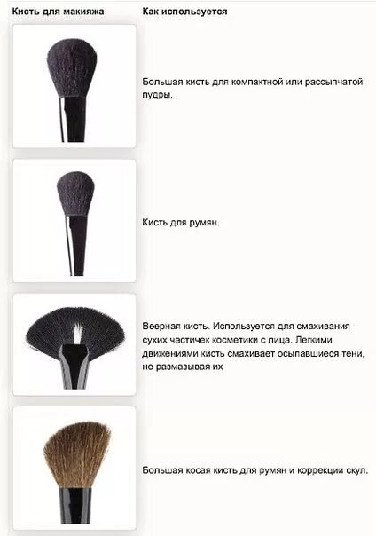Формы кистей для макияжа. Кисти джаст. Описание кистей для макияжа. Кисть для растушевки теней бочонок. Кисти для макияжа.