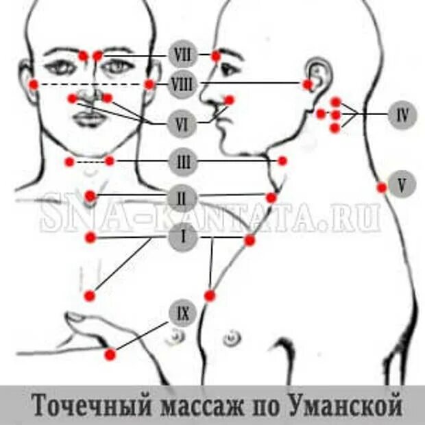 Массаж при орви. Биологически активные точки Уманской. Уманская а а точечный самомассаж. Массаж биологически активных точек по Уманской. Массаж по Уманской точки точечный.