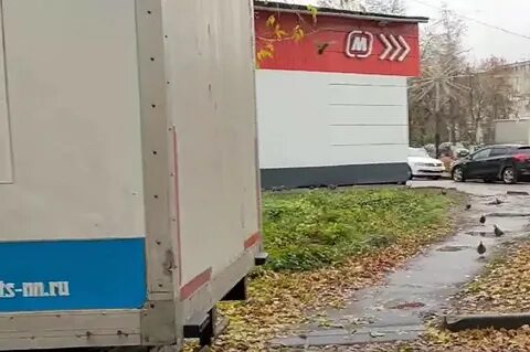 Богородск 24