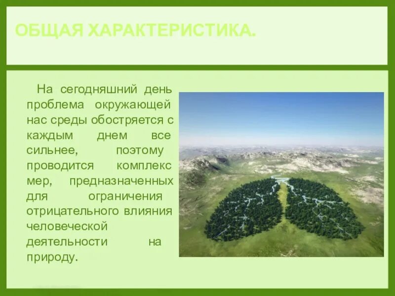 Охрана лесных ресурсов. Охрана водных почвенных лесных ресурсов в россии. меры охраны лесных ресурсов. лесные ресурсы меры по охране. меры по охране лесных ресурсов в природе.