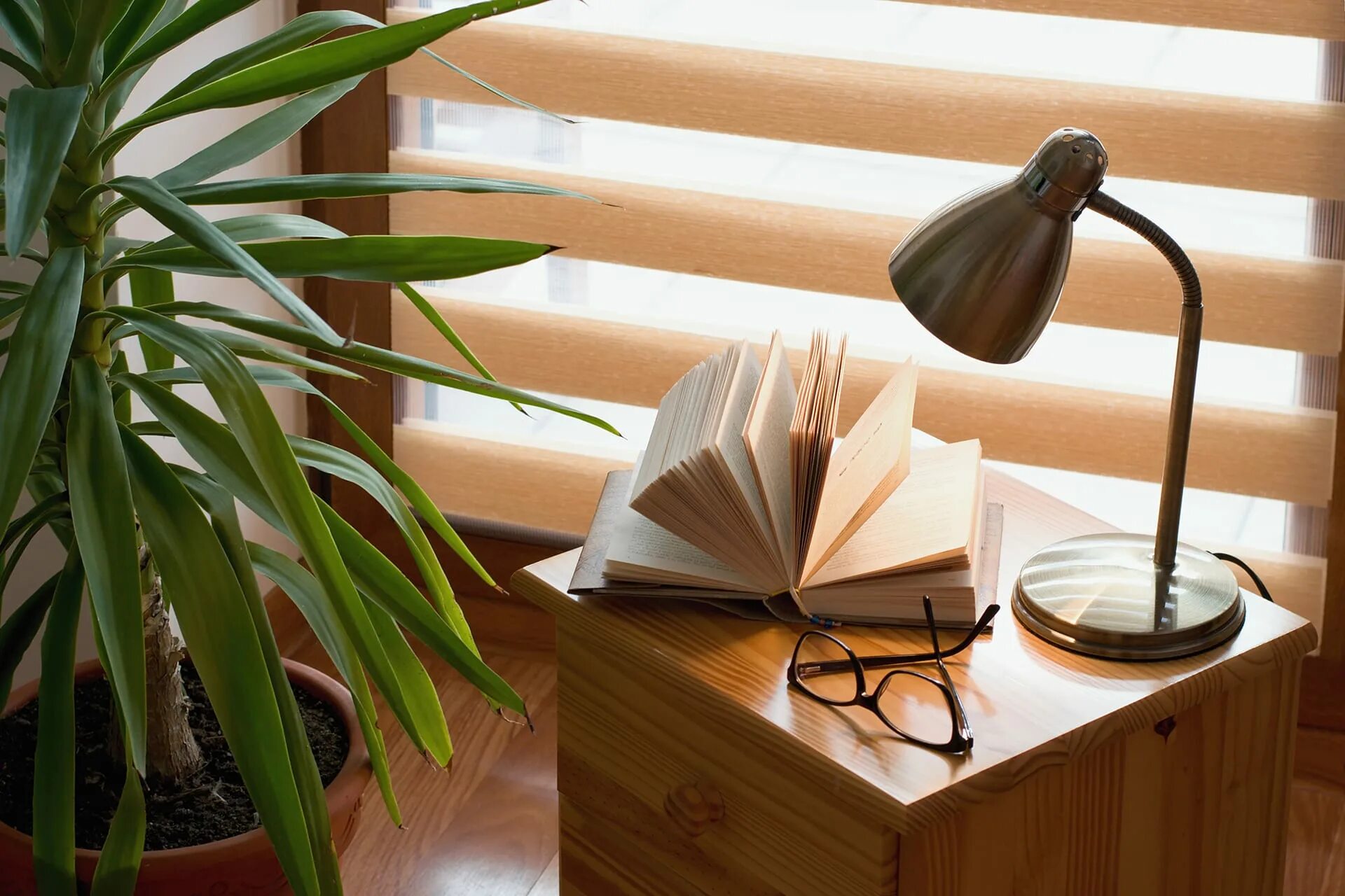 The lamp is the book. Lamp on table.