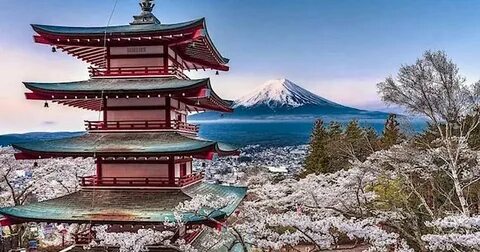 Japanese but