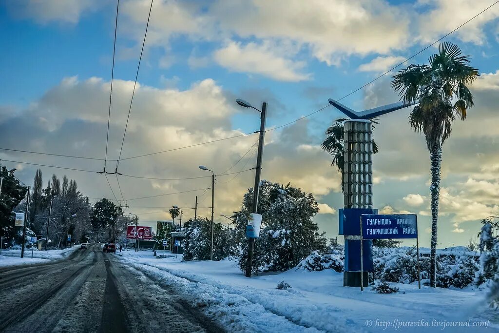 Погода на 10 дней в сухуми абхазия. Абхазия Сухум зимой. Зима в Сухуми. Сухум Абхазия в феврале. Пальмы в снегу Сухум Абхазия.