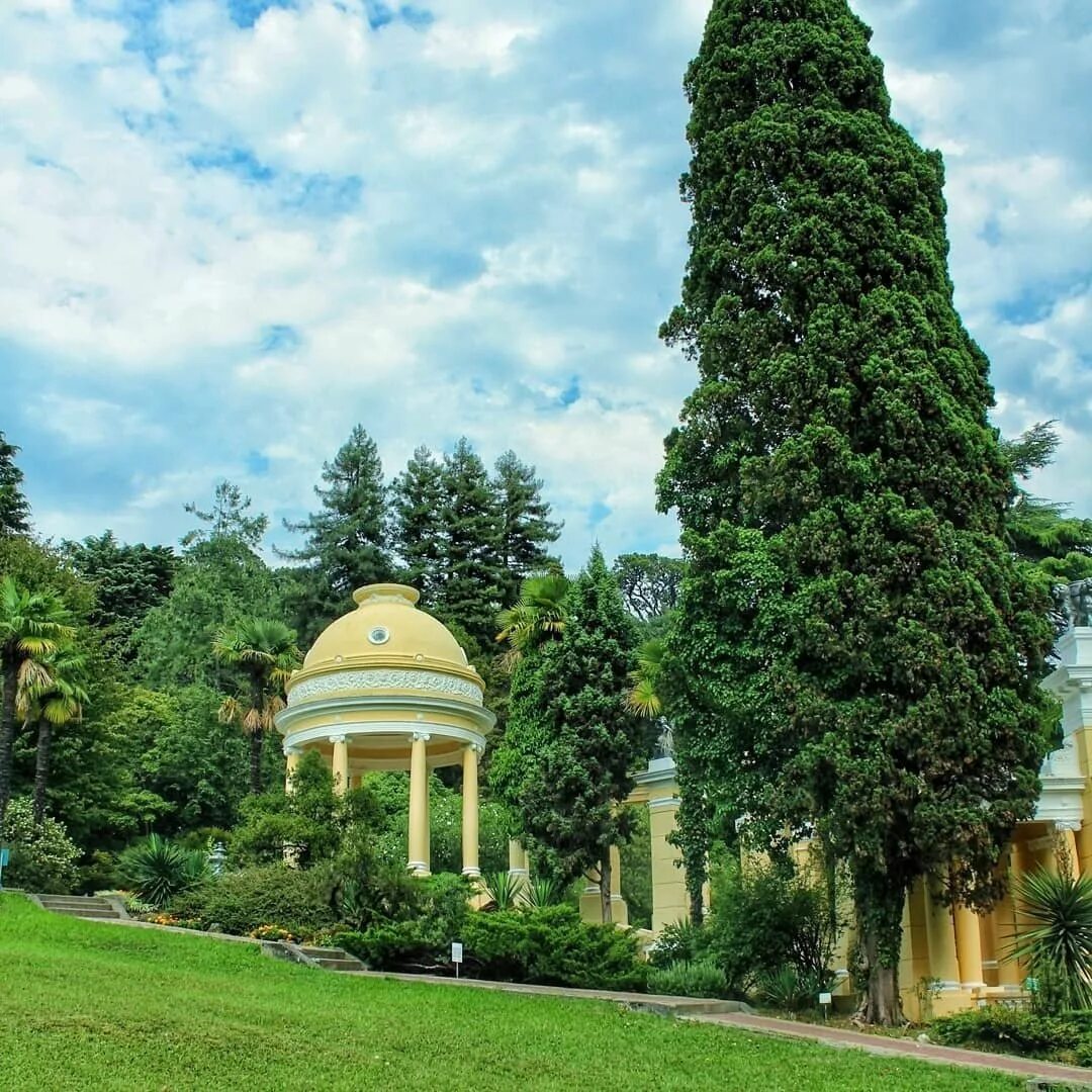 Сочи ботанический сад дендрарий. Сочи ботанический сад дендрарий. Дендрологический парк адлер. Мавританская беседка в дендрарии сочи. Сочинский национальный парк дендрарий.