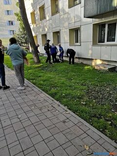 Выпали из окна сегодня