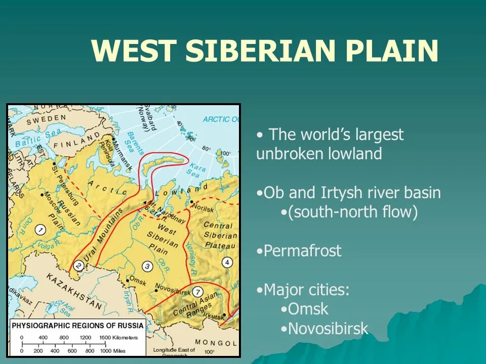 West siberia map. Зсл лайка. West siberian. West siberian. West siberian.