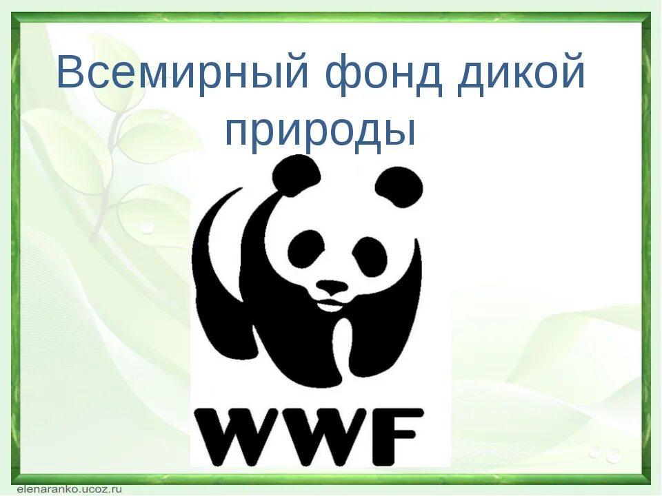 The world wildlife fund is an organization