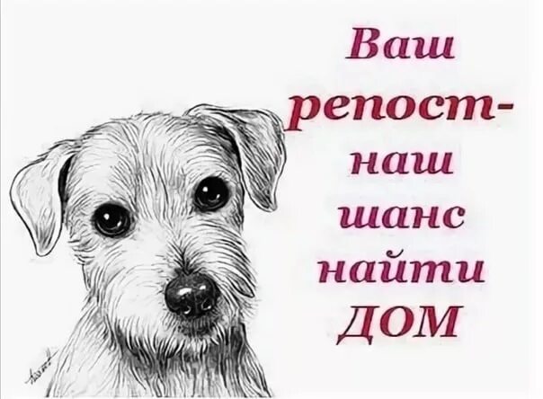 Репост текста