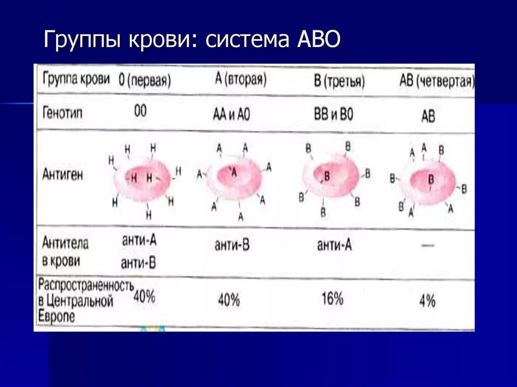 Антигены и антитела системы АВО. Группы крови по системе Abo. Группы крови АВО. Abo система групп крови.