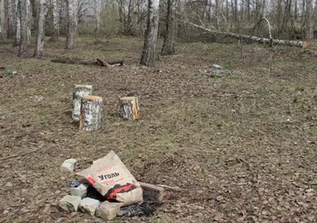 Срубили березу падеж