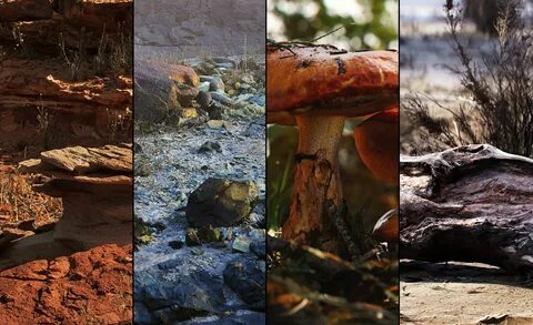 Unreal engine megascans