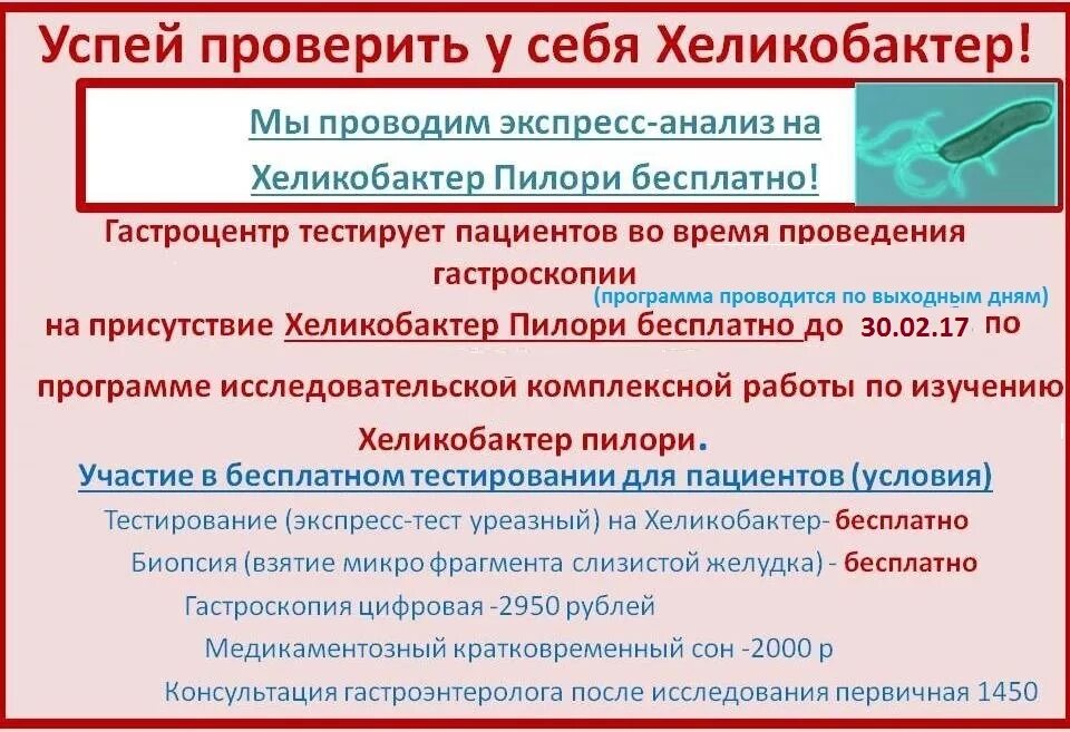 Можно ли при лечении хеликобактер. Можно ли при лечении хеликобактер
