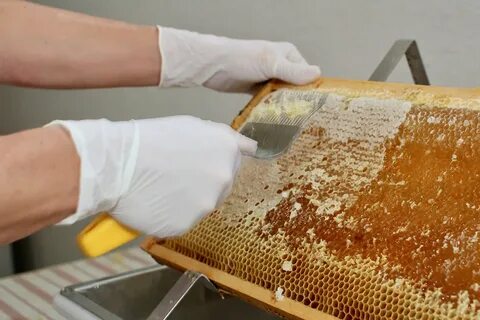 Производители меда